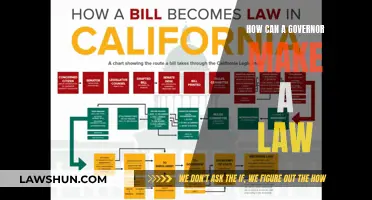 Governors' Lawmaking Power: How to Make Laws?