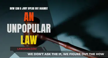 Speaking Up: Jurors' Power Against Unpopular Laws