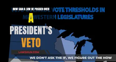 Legislative Override: Veto Power and Lawmaking