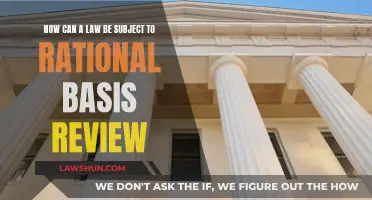 Rational Basis Review: What Laws Qualify?