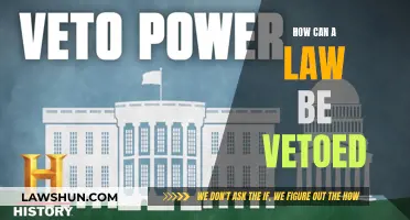 The Veto Power: How Laws Can Be Stopped