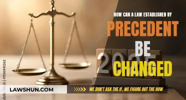 Changing Legal Precedent: A Dynamic Legal Landscape