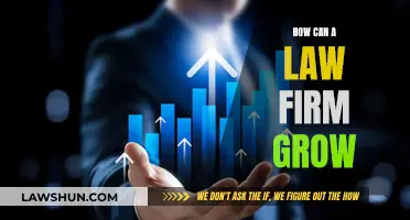 Strategies for Law Firm Growth: Success Secrets