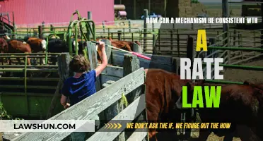 Understanding Rate Laws and Reaction Mechanisms