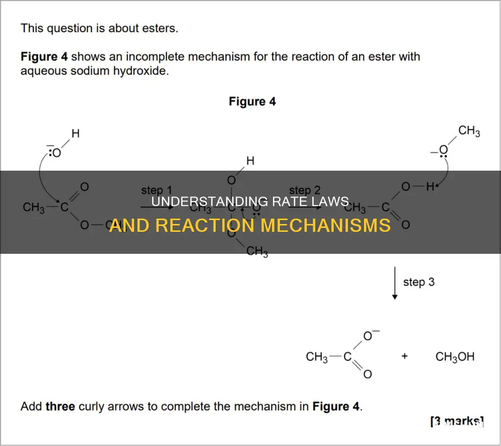 how can a mechanism be consistent wth a rate law