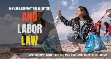 Volunteers: Nonprofits' Secret Weapon and Labor Law Challenge