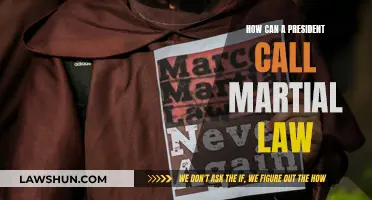 Martial Law: When and How Can a President Enact It?