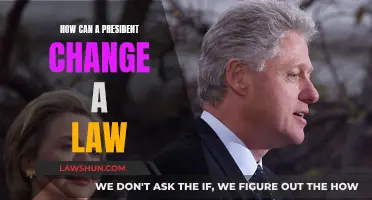 Executive Power: Changing Laws, Presidential Style