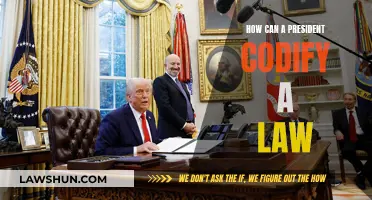 Executive Power: Codifying Laws