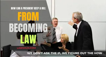 A President's Power: Blocking a Bill's Journey to Law