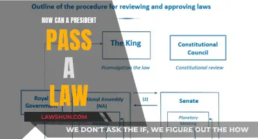 The President's Lawmaking Power