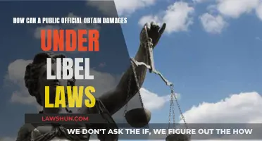 Libel Laws: Can Public Officials Claim Damages?