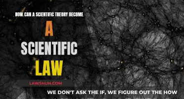 Theories to Laws: Science's Evolution