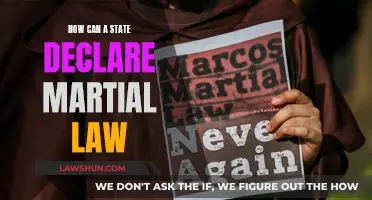 Martial Law: When and How States Declare It