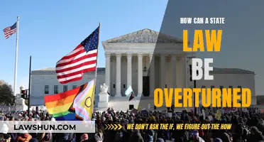 Challenging State Laws: Overturning Unjust Statutes
