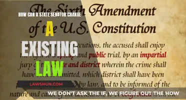 Amending Laws: A Senator's Guide to Legislative Change