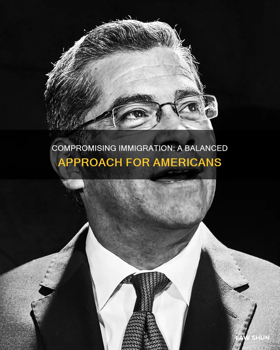how can americans compromise on immigration laws