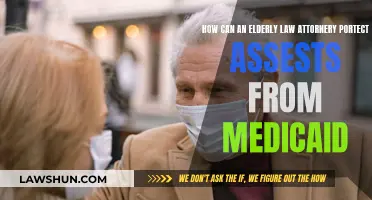 Protecting Your Assets: Elder Law and Medicaid