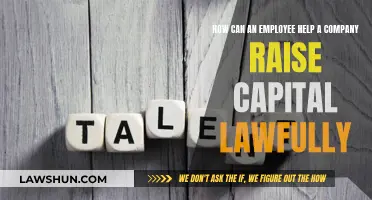 Employees: Aiding Lawful Capital Raising
