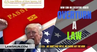 Executive Power: Overturning Laws with a Stroke of a Pen