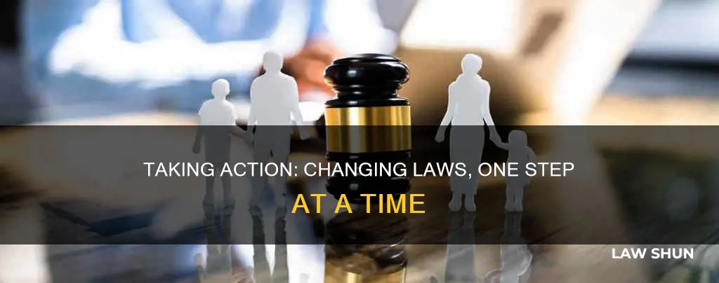 how can an individual try and change a law