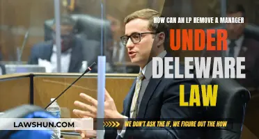 LP Power: Removing Managers Under Delaware Law