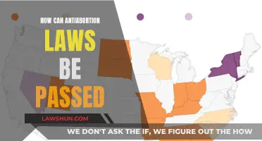 Anti-abortion Laws: Strategies for Passage