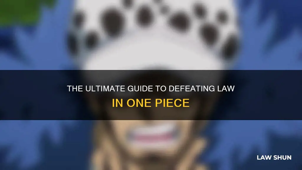 how can anyone beat law one piece