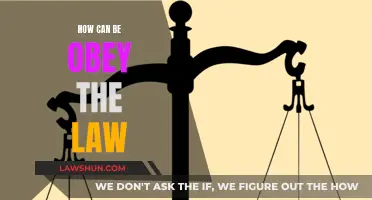 Being a Law-Abiding Citizen: Simple Tips to Follow