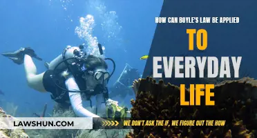 Boyle's Law: Understanding Pressure in Daily Life