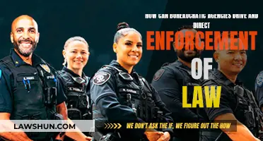 Bureaucratic Agencies: Enforcing the Law