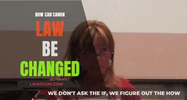 Canon Law Evolution: Process and Possibilities
