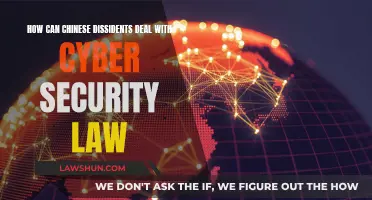 Dissidents' Guide to Navigating China's Cyber Security Laws