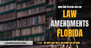 Florida Law Amendments: A Citizen's Guide to Requesting Changes