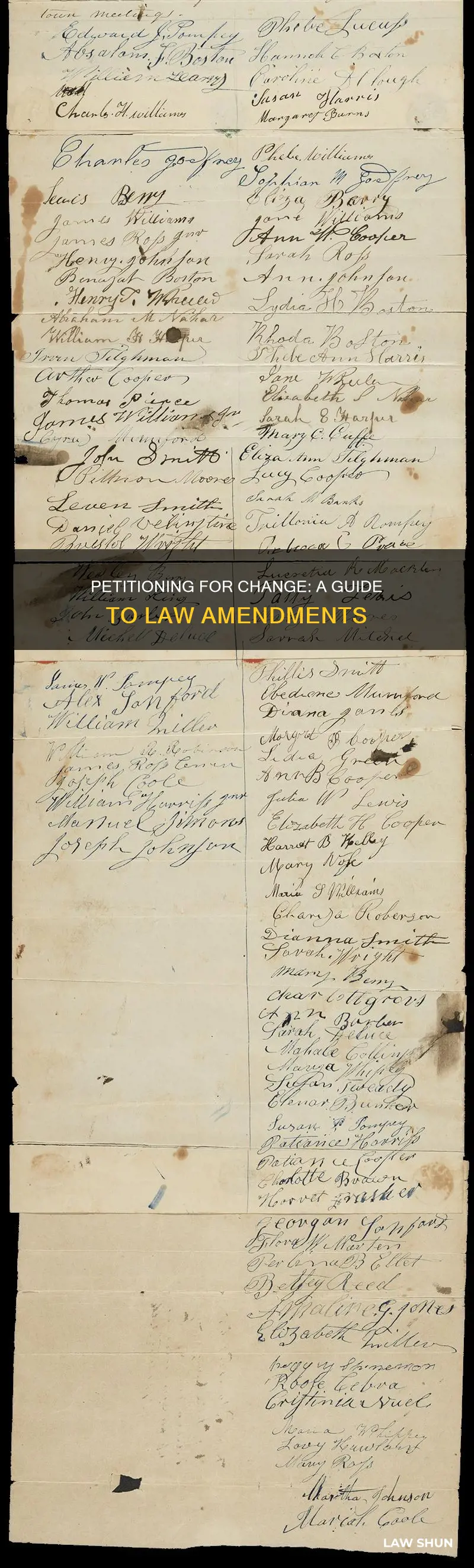 how can citizens ask for law amendments
