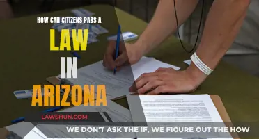 Arizonians: Make Your Laws
