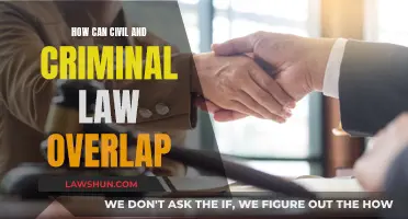 Civil and Criminal Law: Overlapping Jurisdictions