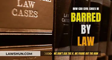Civil Case Barriers: Understanding Legal Limitations