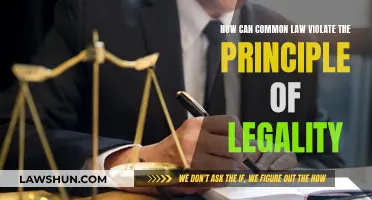 Common Law and Legality: A Fine Line