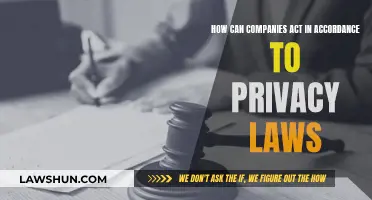Privacy Laws: Companies' Guide to Compliance