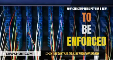 The Dark Side of Corporate Lobbying