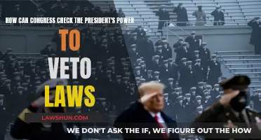 Congress' Power Play: Veto Checks and Balances