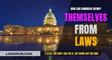 The Legal Double Standard for Congress