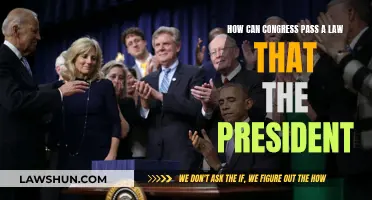 The President and Congress: Lawmaking Collaboration