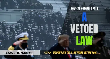 Congress Overrides: Veto Power Explained