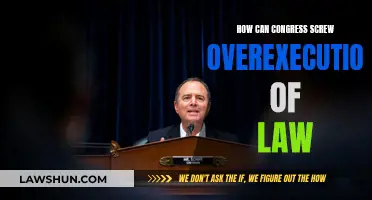 Congress: Impeding Law Execution with Red Tape