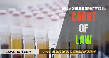 Consent: How to Prove It in Court?