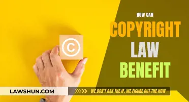 Copyright Law: Protecting and Benefiting Creators