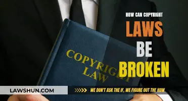 Copyright Laws: Breaking the Rules and Consequences