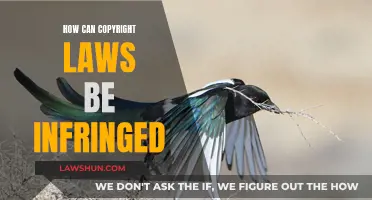 Understanding Copyright Infringement: Unlawful Use of Copyrighted Works